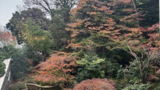 Thumbnail of post image 106