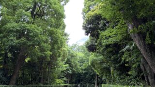 Thumbnail of post image 168