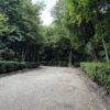 Thumbnail of new posts 131