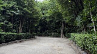 Thumbnail of post image 058