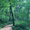 Thumbnail of new posts 072
