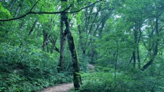 Thumbnail of post image 176