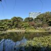 Thumbnail of related posts 141
