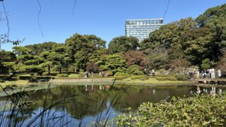 Thumbnail of post image 001