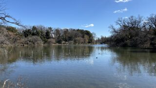 Thumbnail of post image 171