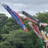 Thumbnail of new posts 176