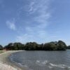 Thumbnail of new posts 181